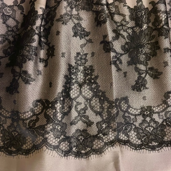 Ann Taylor Size 12 Oat Tan Brown Floral Lace Print Pleated Midi Skirt - Picture 2 of 7